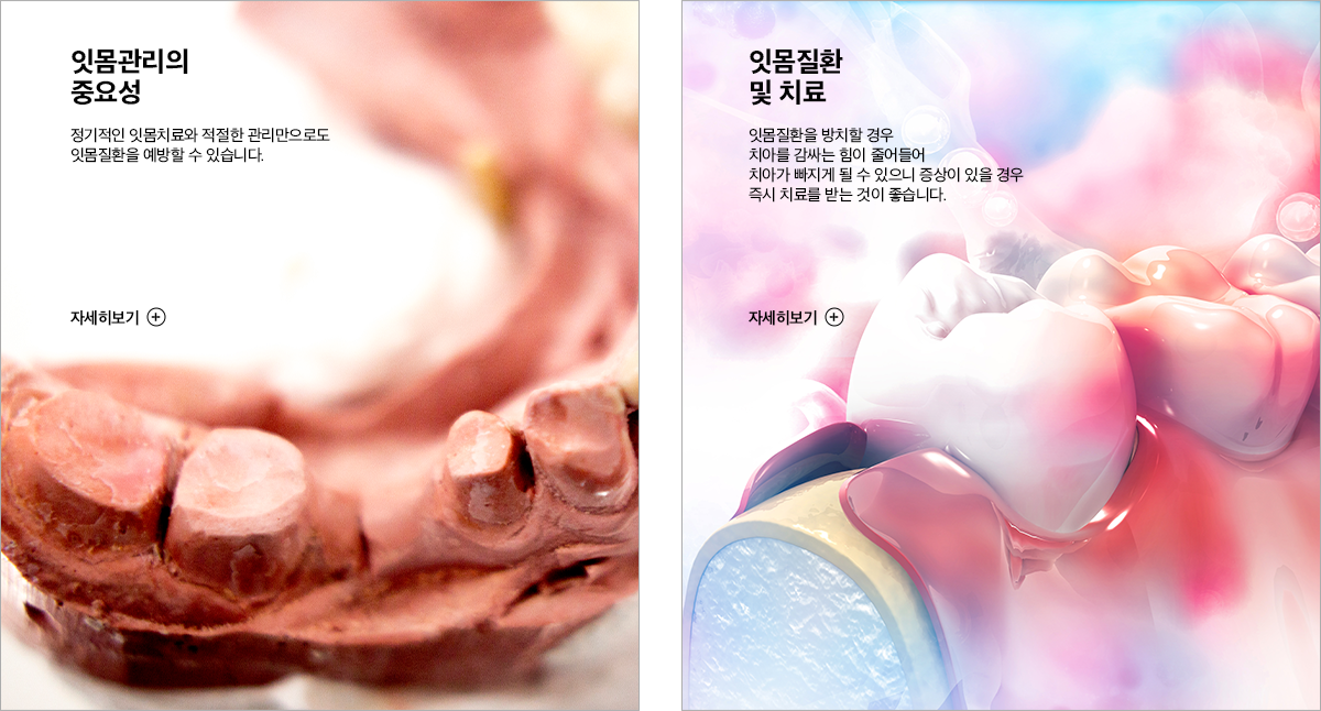 잇몸 클리닉